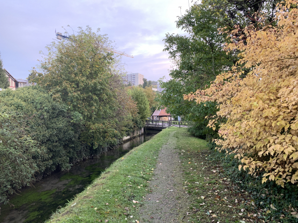 Le long du Robec près des restes du mur d'enceinte de l'ancienne Chartreuse de la Rose.
