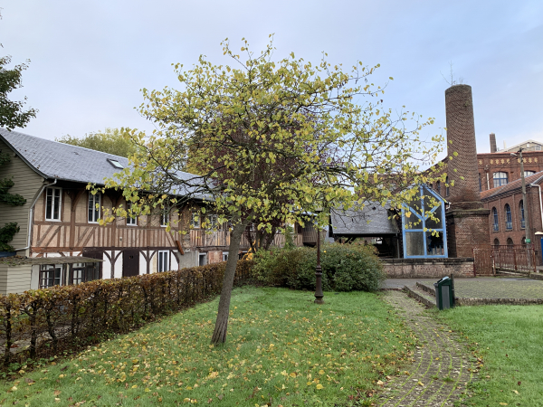 A partir du Moulin Saint-Paul, il est possible de suivre le chemin du garde-rivière. En raison d'un chantier au moulin, nous sommes entrés sur le chemin du garde-rivière au niveau de l'usine Fromage.