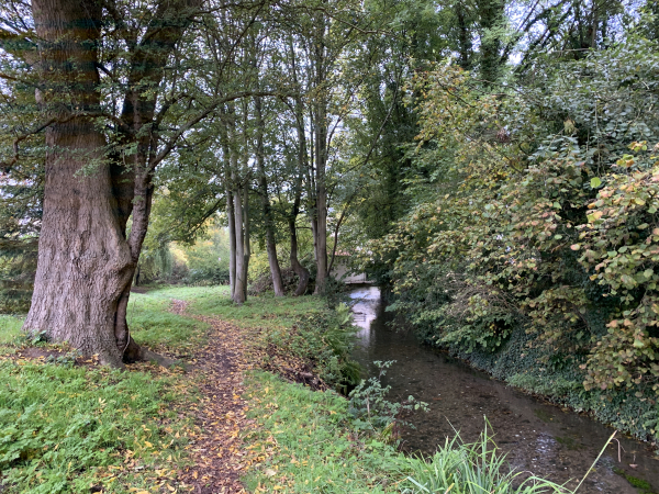 Nous suivons le chemin du garde-rivière le long de l'Aubette.