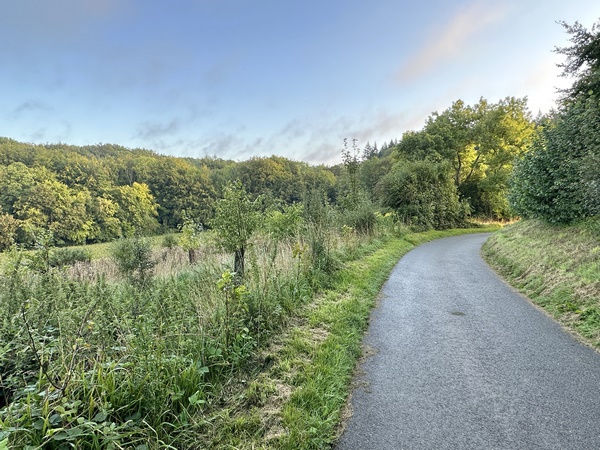 Nous descendons le Chemin du Four à Chaux, le long du parc du château.