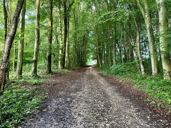 Après le vallon, nous remontons vers les Petits Bordeaux.