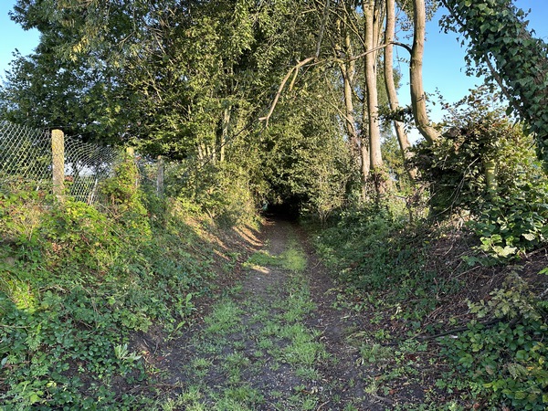 Nous suivons le chemin du Chasse-Marée aux Petits Bordeaux.