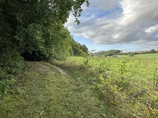 Nous montons la colline du Vieux Château en suivant le GRP des Forêt de Haute-Normandie. Ici se trouvait une fortification féodale normande qui surplombait la vallée de l'Héronchelle.