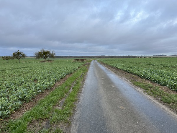 Ce circuit était l'une de nos petites randonnées des jours de pluie, on verra plus loin que ce ne sera plus le cas.