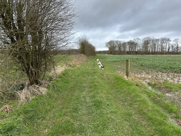 Nous traversons la plaine de l'Epine Saint-Jean en direction de la route du Mesnil-Raoul (C1).