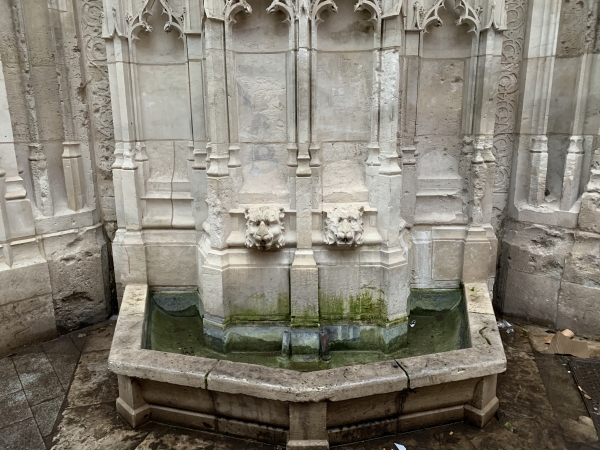 Fontaine de la Crosse (Voir la photo verticale dans l'album). Elle était alimentée par la source Gaalor. La fontaine d'origine a été démolie en 1860 pour l'élargissement de la rue des Carmes. Cette fontaine néogothique de 1861 est une oeuvre d'Arsène Jouan. Elle porte les traces des bombardements du 26 août 1944.