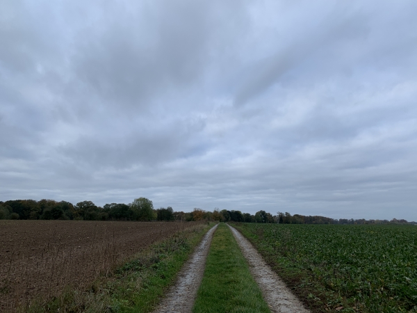 Nous traversons maintenant les Terres de l'Epine en direction des Taillis.