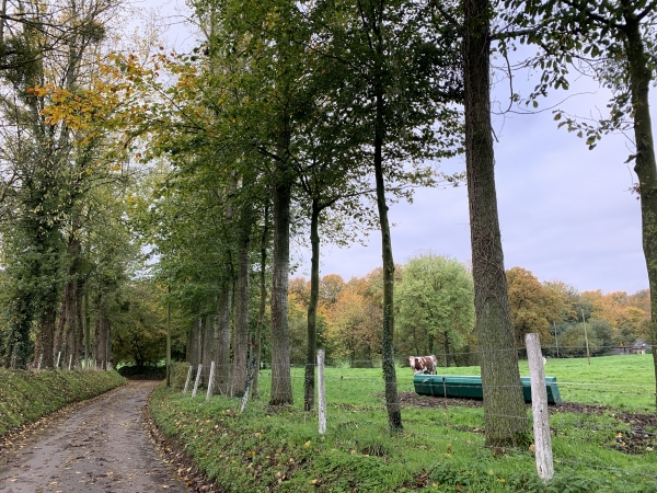 Nous sommes sur l'impasse de l'Epine, nous allons contourner par la droite le domaine du château du Plain Bosc.