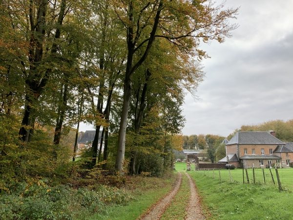 On distingue avec peine le château du Plain Bosc derrière les arbres. Nous nous sommes avancés au maximum de ce qu'autorisent deux panneaux Propriété Privée...