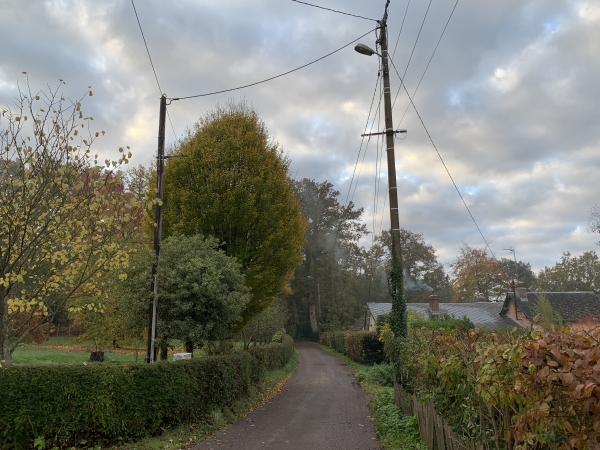 Nous entrons maintenant dans le bois de Valleville.