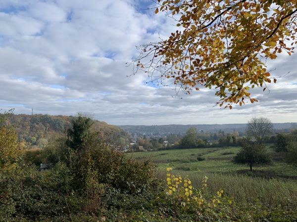 Nous sortons du bois de Bonnechose. Au loin, dans la vallée, on voit Brionne.