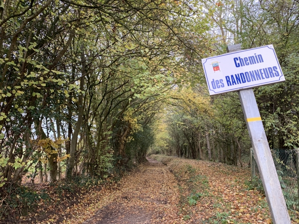 Nous quittons Bosc-Guérard-St-Adrien par le bien nommé chemin des Randonneurs (GR25).