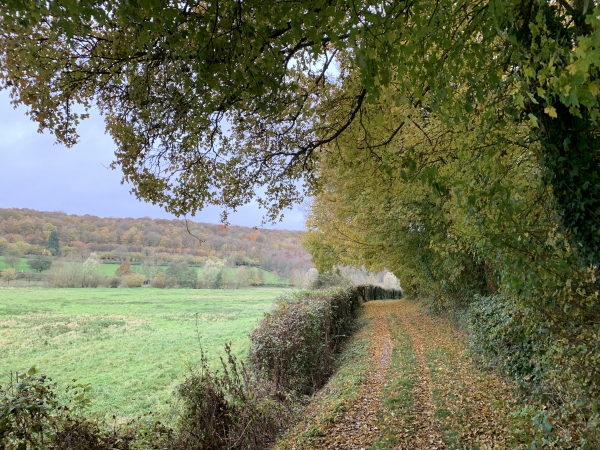 C'est toujours un grand plaisir de marcher sur le chemin des Fontaines des Fresnes, entre bois et vallée.