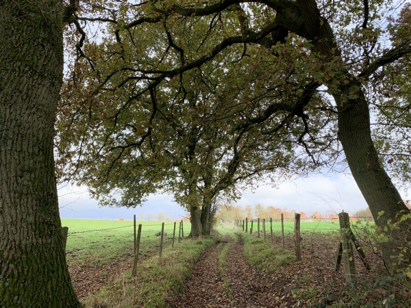 Nous marchons maintenant vers le nord en direction de l'ancien château du Fossé, surtout connu pour avoir été le Collège de Normandie.