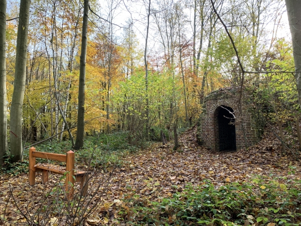 Nous montons le Bois de Fécamp jusqu'à l'ancienne glacière, proche du château du Bosc-Théroulde.
