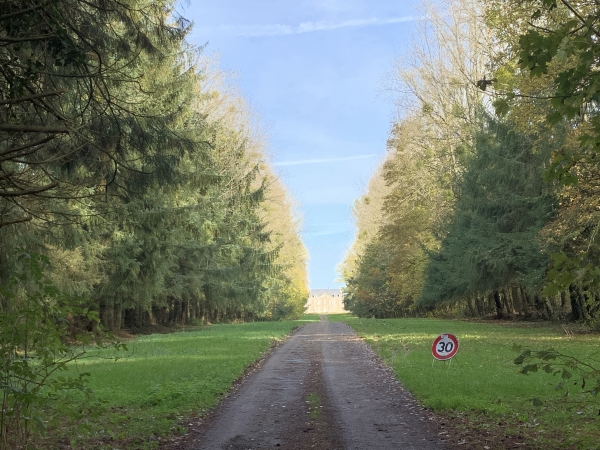 Au bout de son allée, le château du Bosc-Théroulde (XVIIe).