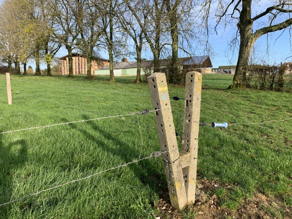 A Cressieusemare, nous suivons un sentier équipé de passe-clôtures.