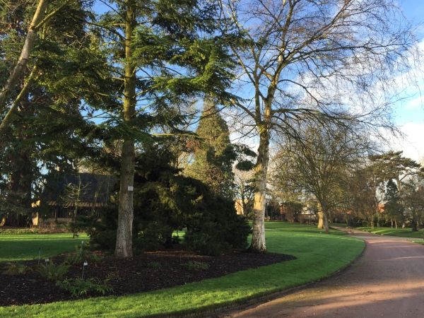 Jardin des Plantes de Rouen.