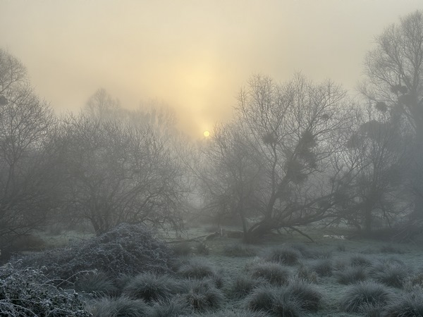 Nous voilà dans les marais du Trait. Nous commençons par suivre le Chemin du Marais, qui est une route. Les paysages sont déjà hors-normes, sublimés par la brume et soleil levant.