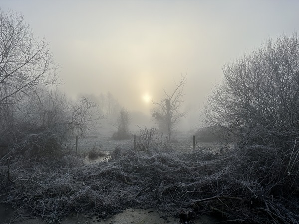 Le Marais du Trait s'étend sur 180 hectares, dont une grande partie en zone Natura 2000. Il est connu, en particulier, pour abriter plusieurs couples de cigognes blanches.