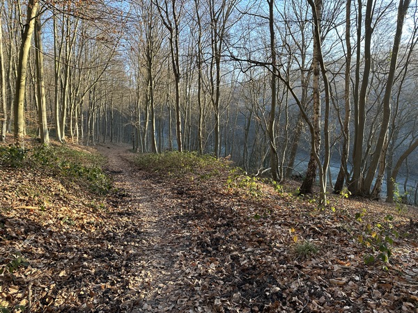 Nous sommes en hauteur, les brumes romantiques des marais font la place au soleil d'une belle journée d'hiver. Nous allons traverser le Val des Noyers que l'on devine à droite.