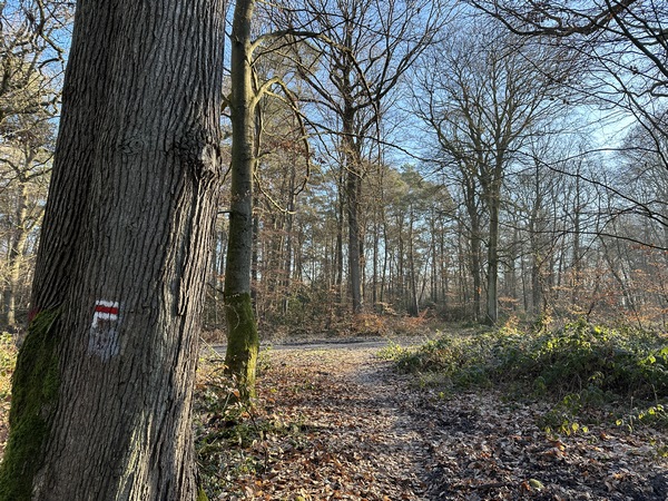 Nous montons au sommet du massif forestier, toujours sur le GR2.