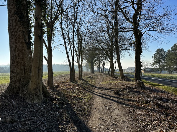 Nous arrivons au niveau du cimetière du Trait. Ce chemin a bien changé depuis notre dernier passage ici ! Il ne reste que quelques arbres, rescapés, en bordure d'un futur lotissement.