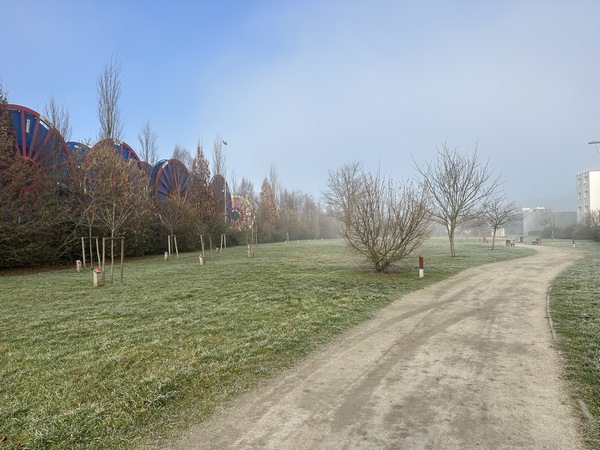 Nous suivons maintenant le chemin qui traverse l'arboretum aménagé le long de la zone industrielle.