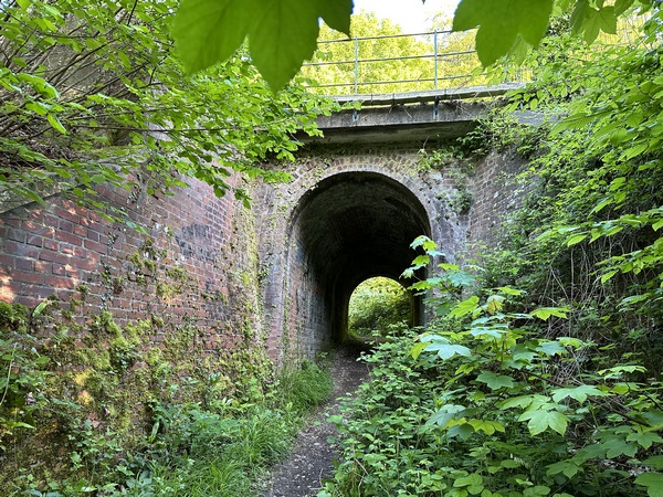 Nous passons sous la ligne Malaunay - Dieppe.&nbsp;Cette ligne a quitté la ligne Paris-St-Lazare - Le Havre après le viaduc de Malaunay. Depuis la fermeture de la section Serqueux-Dieppe, elle est la seule voie ferrée qui relie Dieppe à Paris.