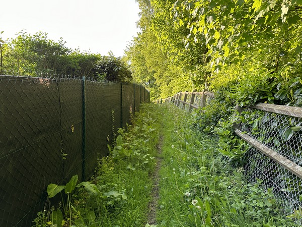 Nous suivons la rue des Roses, puis tournons sur ce chemin qui redescend vers le bois du coteau.
