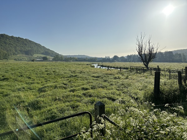 Nous suivons la rue du Docteur Martel (D51) sur 600 mètres. Attention, elle n'a pas d'accotement aménagé. Nous tournons ensuite sur la rue des Rivières qui traverse la vallée de la Clérette.