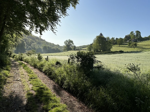 Nous sommes maintenant sur le chemin des Chevreuils, au pied du Boscaux Moines.