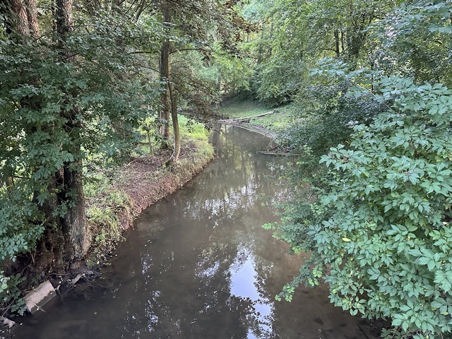 La Béthune le long de l'Avenue Verte.