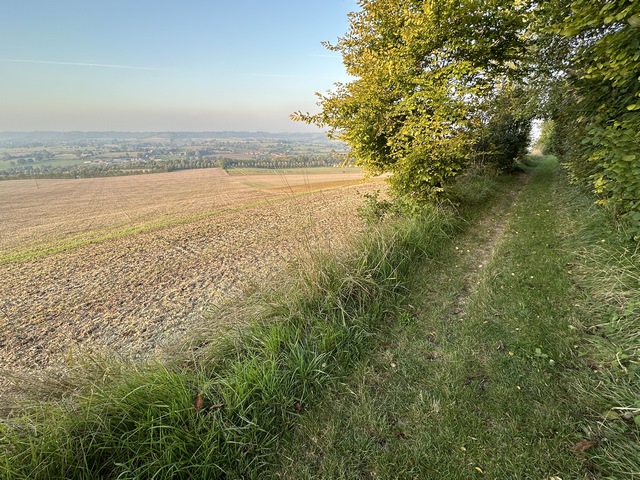 Notre chemin longe le bois et avance en balcon au-dessus de la vallée de la Béthune.