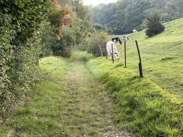 Nous allons quitter la Côte Saint-Amador.