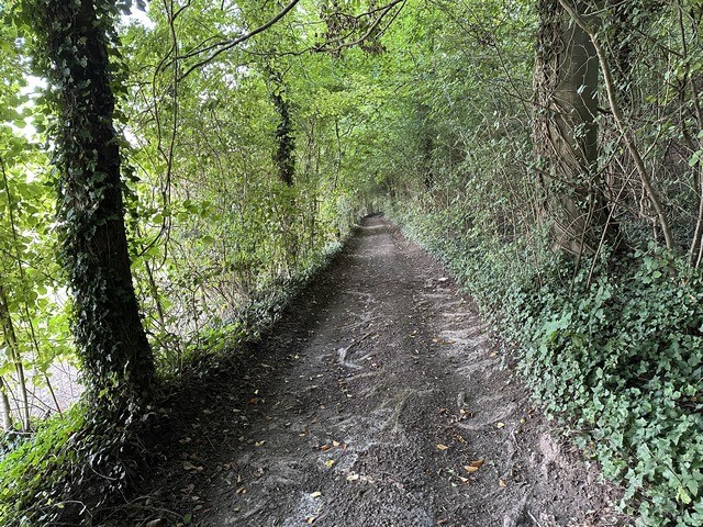 Encore un beau chemin ! Il longe la Forêt avant de monter en forêt du Hellet.