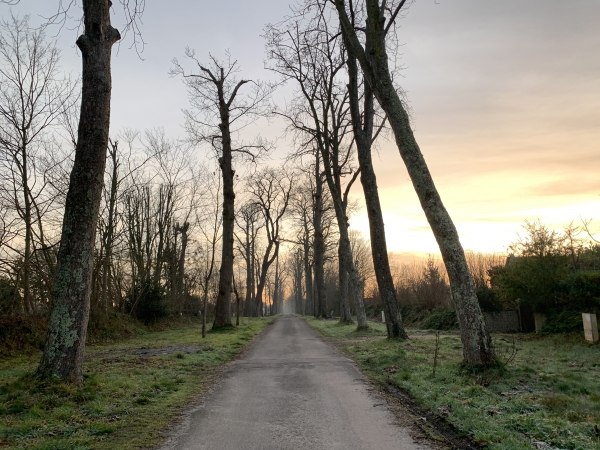 Nous suivons l'Allée des Marronniers pour sortir de Cormeilles. C'est une belle allée, il faut nous croire sur parole ou regarder les photos prises en juillet, présentes dans l'album de la rando.