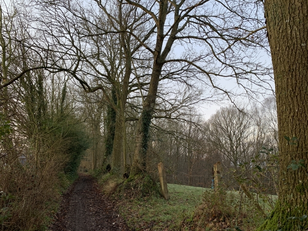 Chemin du Bois de la Vigne. Les chemins seront nombreux sur ce circuit, et malgré la pluie de ce mois de décembre, ils sont praticables.