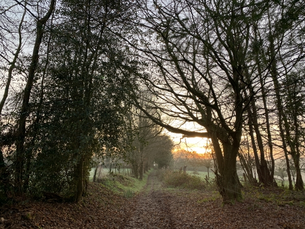Nous allons descendre le Bois de la Vigne vers la vallée de la Rivière d'Angerville.