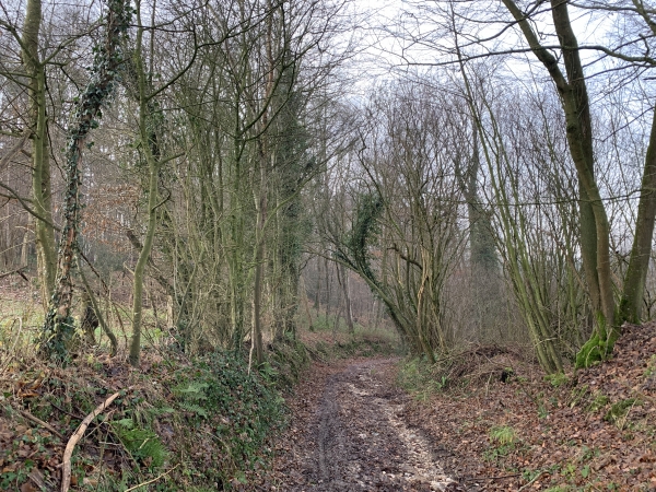 Nous sommes montés sur la colline du Saussay, le circuit est vallonné mais les montées ne sont pas trop raides.