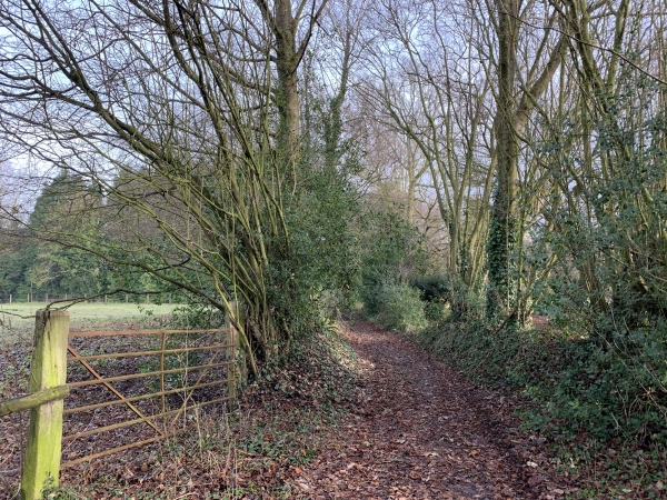 Nous sommes arrivés sur le GRP du Tour du Pays d'Auge. Nous allons le suivre jusqu'au retour.