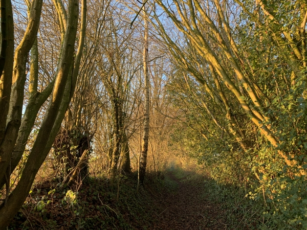 Le chemin du Fond de l'Est monte vers la colline de Raimbouville. Il nous conduit jusqu'au hameau de La Campagne.