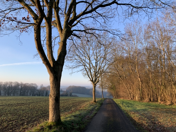 Nous longeons le Bois du Fil. Il y plus de routes que de chemins sur ce circuit, mais ce sont de petites routes, désertes.