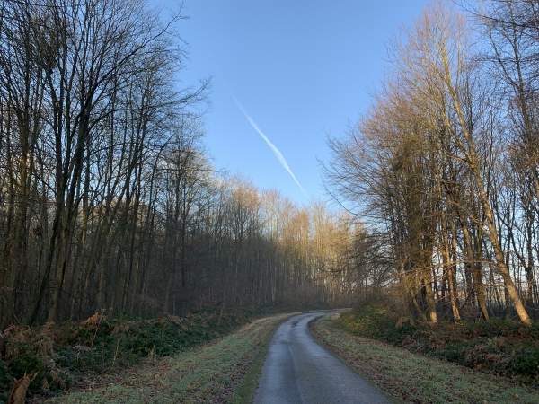 Nous suivons la rue du Château. Ce bois abrite les cabanes dans les arbres de Fontaine-Châtel. C'est au château qu'on les loue pour vivre des nuits arboricoles. (Et sur internet)