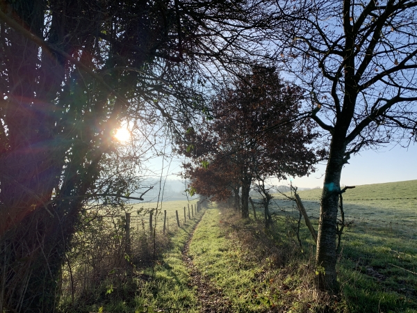Nous sommes arrivés dans la vallée, notre chemin va nous conduire jusqu'au centre de St-Germain-des-Essourts.