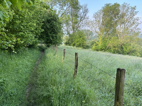 Nous suivons le charmant chemin du GR25 qui monte en pente douce et régulière, en contraste avec un coteau bosselé.