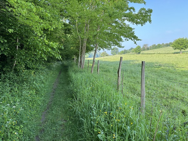 Nous quittons le hameau de Crevon par le Chemin du Bois des Pierres. Le nom de ce chemin vient des poudingues que nous verrons plus loin.