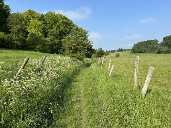 Chemin du Bois des Pierres.