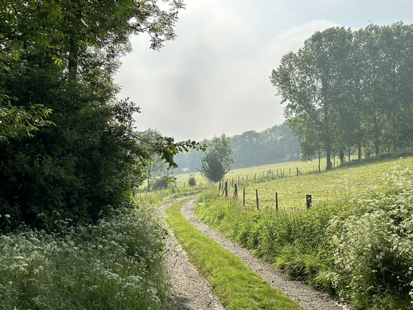 Nous traversons Gruchy et continuons sur le chemin de la Côte Marquette qui descend dans la Vallée Beley puis remonte vers le hameau des Maillomets.