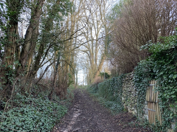 Noyers, chemin de la Vignette.